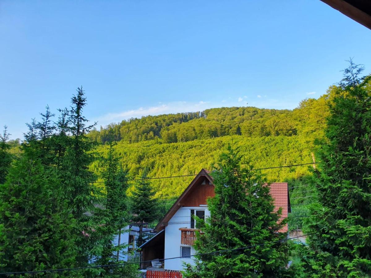 Vila Luca'S Cîrţişoara Esterno foto