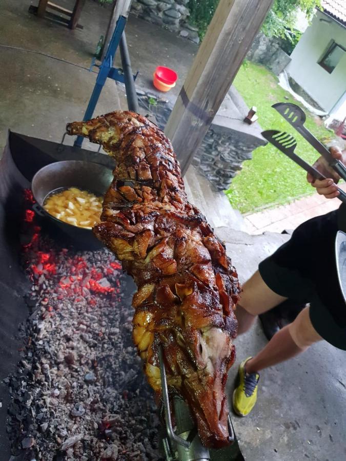 Vila Luca'S Cîrţişoara Esterno foto