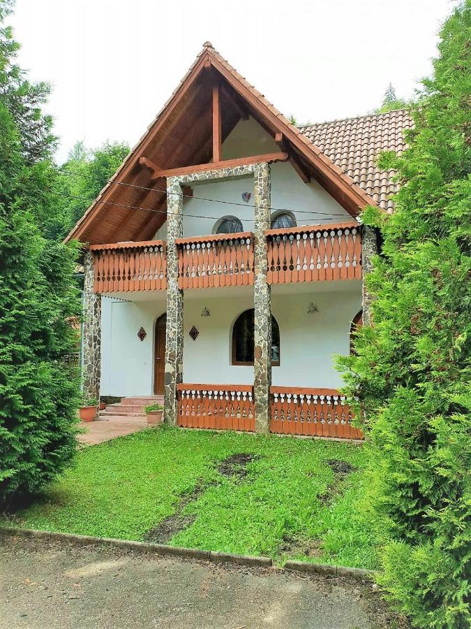 Vila Luca'S Cîrţişoara Esterno foto