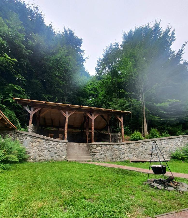 Vila Luca'S Cîrţişoara Esterno foto